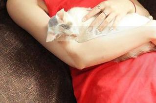 推女神 - 土肥圆矮玩转蕾丝:照片让牛奶都感到羞涩?