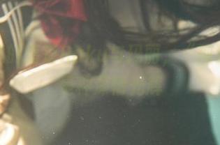 写真里的落落Raku与玛丽，“孤独”也是种深情光辉